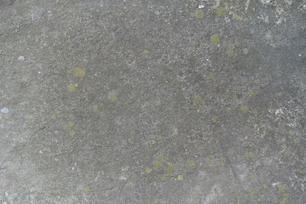 Cost of Slab Staining Service in Mount Vernon